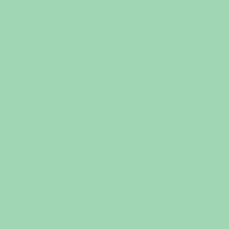 AL3014-TOURQUISE GREEN